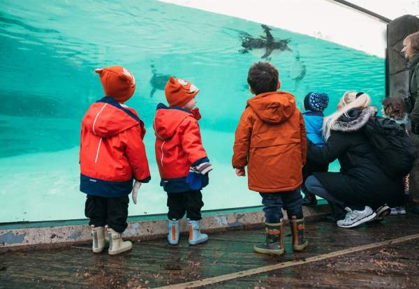 Daily Animal Talks at Chester Zoo
