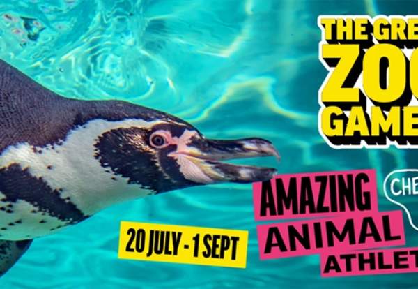 The Great Zoo Games at Chester Zoo