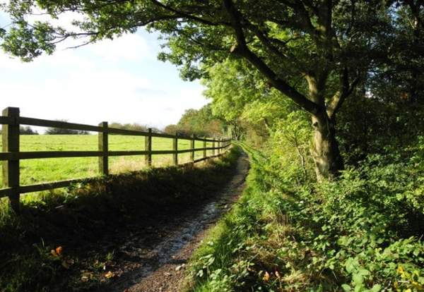 Daisy Nook Country Park