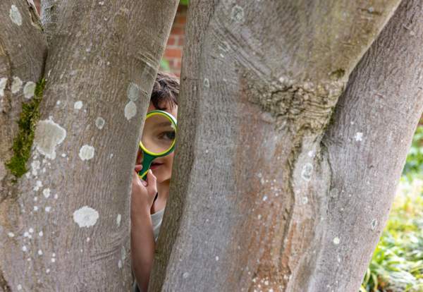 The Giant Easter Egg Hunt at RHS Garden Bridgewater