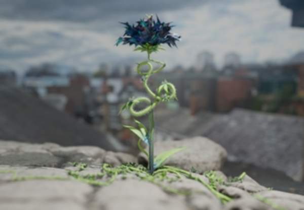 Emotional Biodiversity