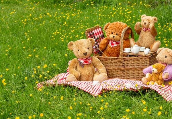 Teddy Bears Picnic