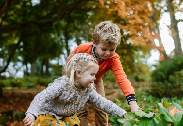 Spooky fun awaits at RHS Garden Bridgewater this October half-term