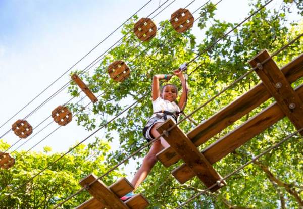 May Half Term at Go Ape Rivington