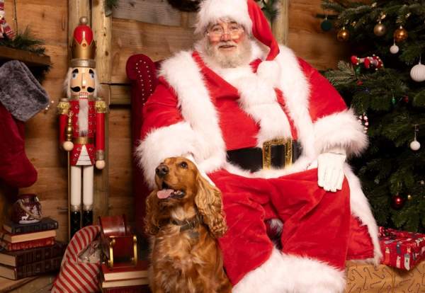 Santa Paws