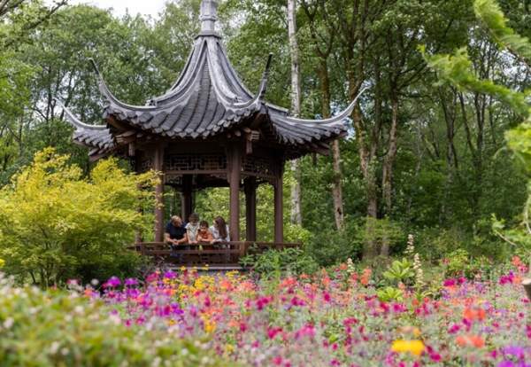May half term at RHS Bridgewater: The Great Garden Game-a-thon