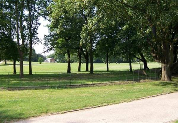 The Manchester Green Trail Walk 1: Chapel Street Park to Clayton Park
