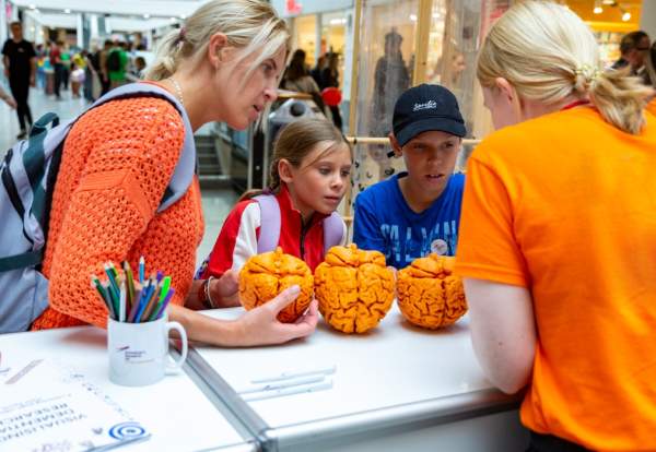 Our Wonderful Brains