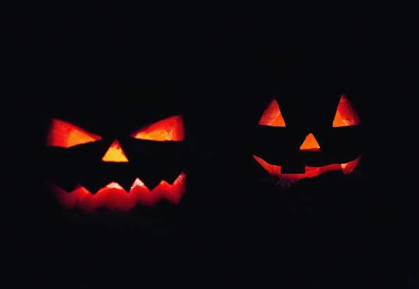 Pumpkin Picking at Brookheys Farm Dunham Massey