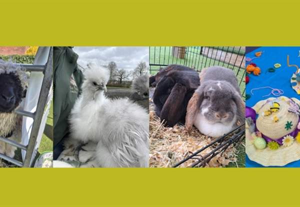 Free Easter Family Fun at Wythenshawe Civic