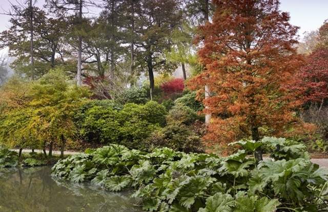 Leonardslee Lakes and Gardens