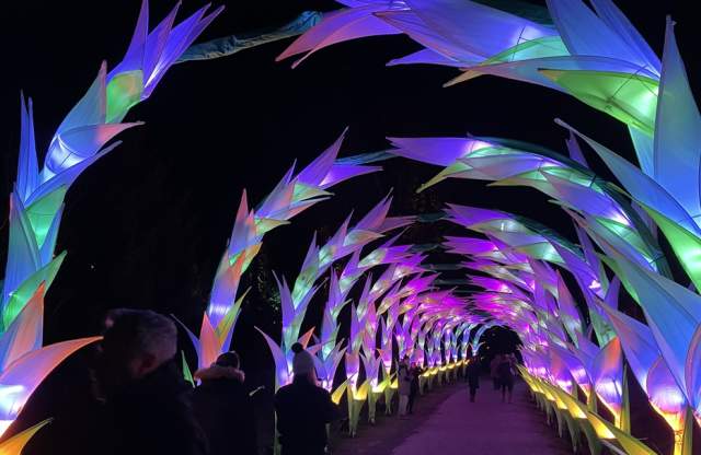 Northern Lights Manchester with John Lewis