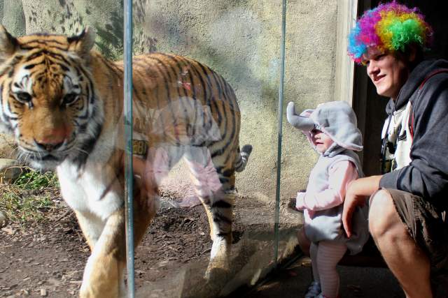 Halloween ZooBoo presented by Central Indiana Honda Dealers