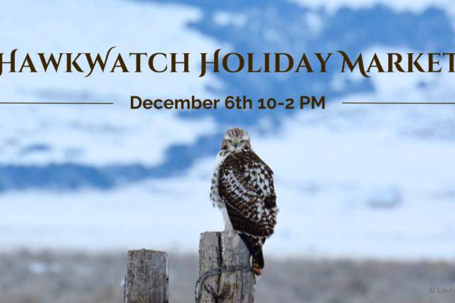 HawkWatch Holiday Market 2025