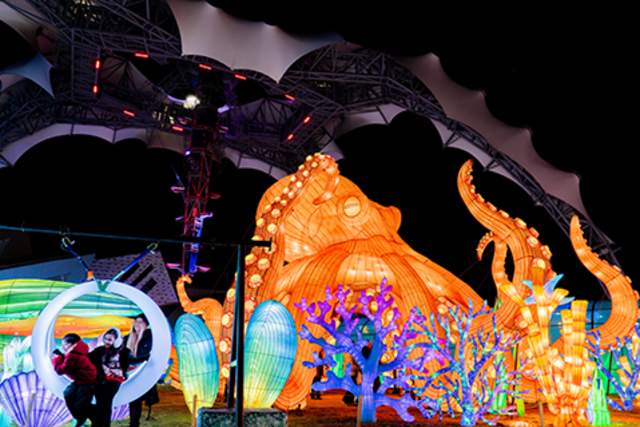 Aquarium Lantern Festival