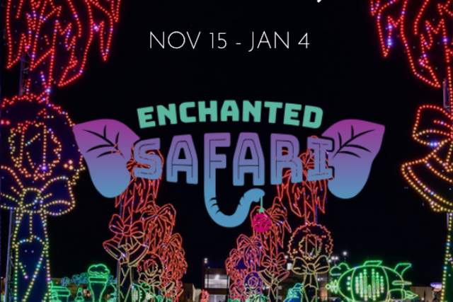 2025 World of Illumination: Enchanted Safari