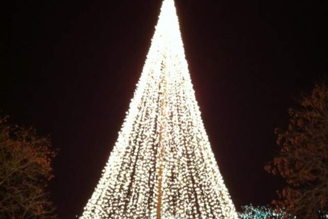 Temple Square Christmas Lights 2025