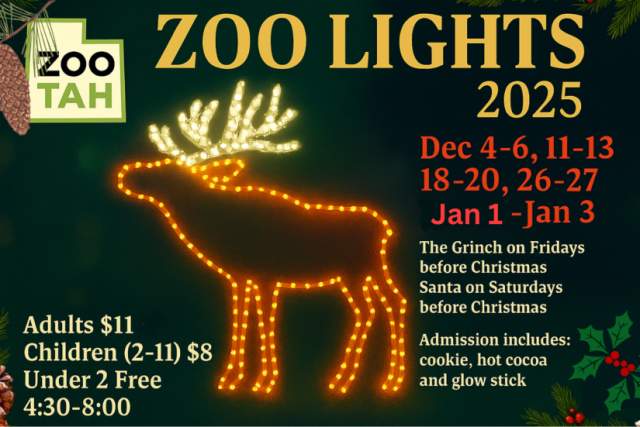Zootah's Zoo Lights 2025