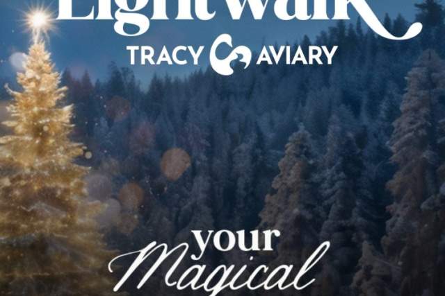 Lightwalk at Tracy Aviary