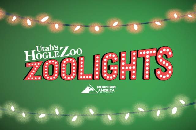 2025 ZooLights at Utah's Hogle Zoo