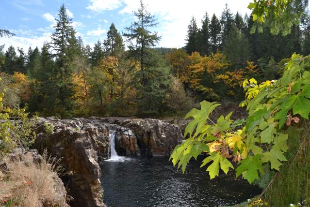 Wildwood Falls by Sally McAleer