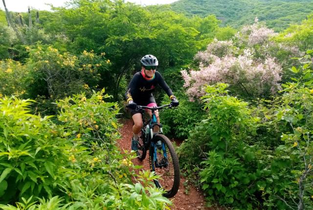 pico pala tours