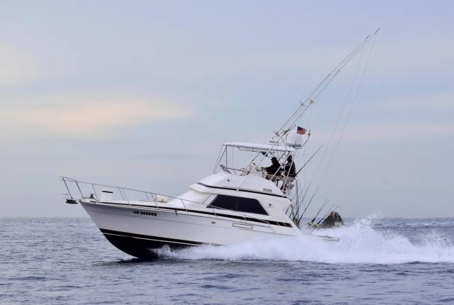 cabo fishing