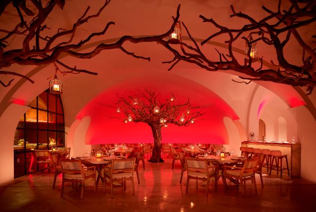 Árbol