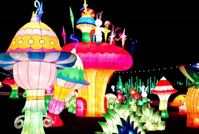 Lightopia sales heaton park