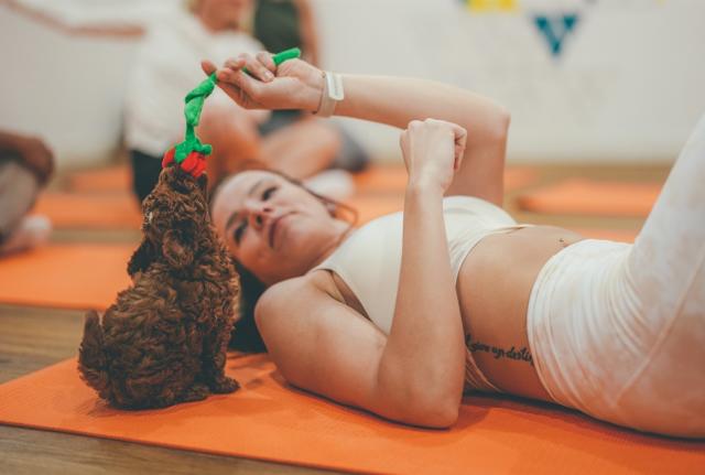 Puppy Yoga at Paw Yoga