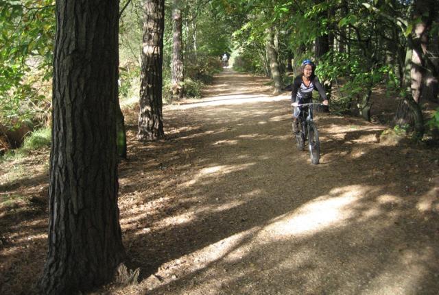 Walking and cycling sales holidays