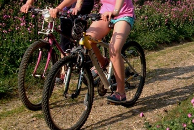National cycle route 2 new arrivals