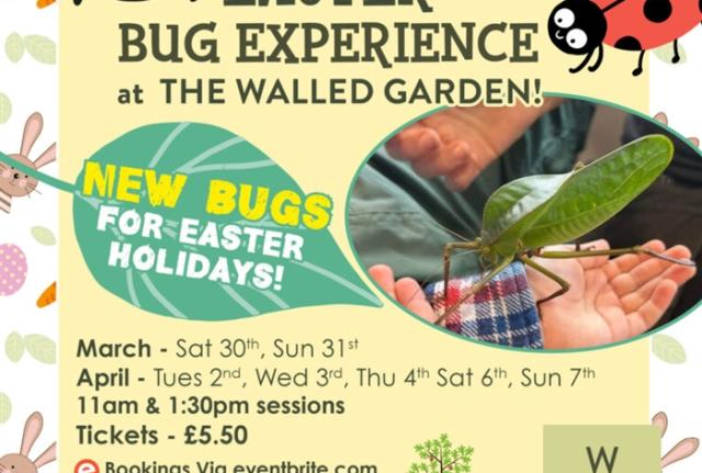 Easter bugs sale