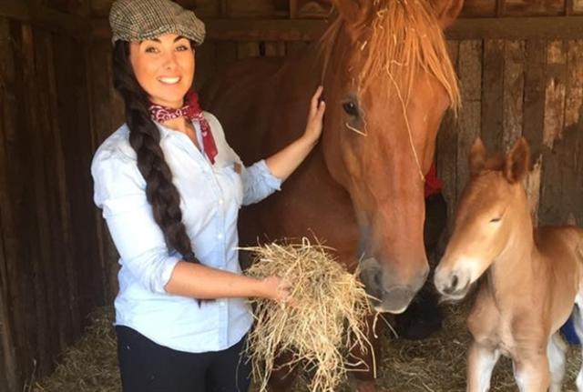 Horse sales rehoming centre