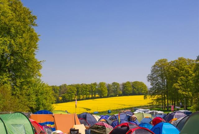 Teddy Rocks Music Festival - Visit Dorset