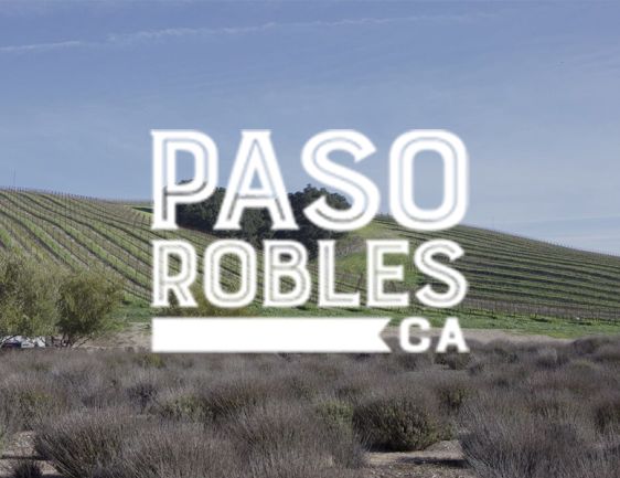 alliance veterinary clinic