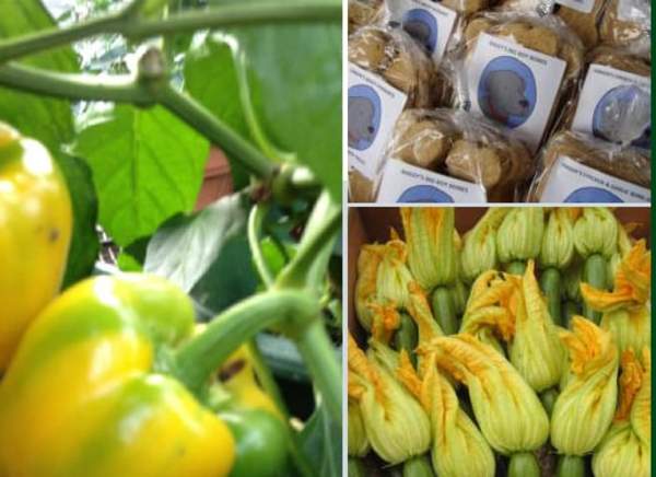 Goddard Park Farmers Market
