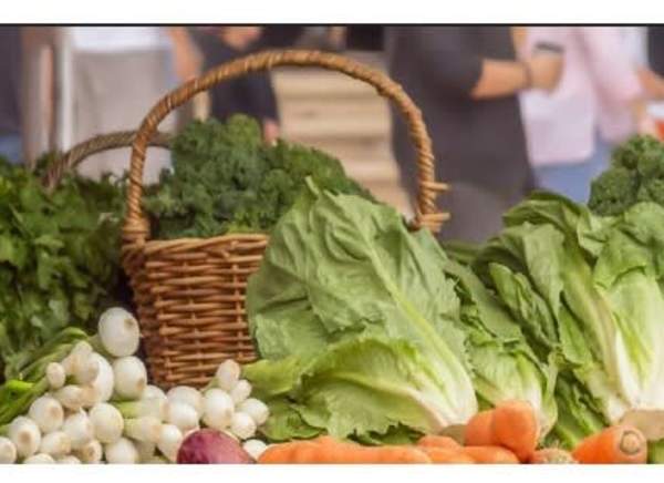 Conimicut Village Farmers Market