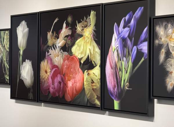 Women Behind the Lens VI