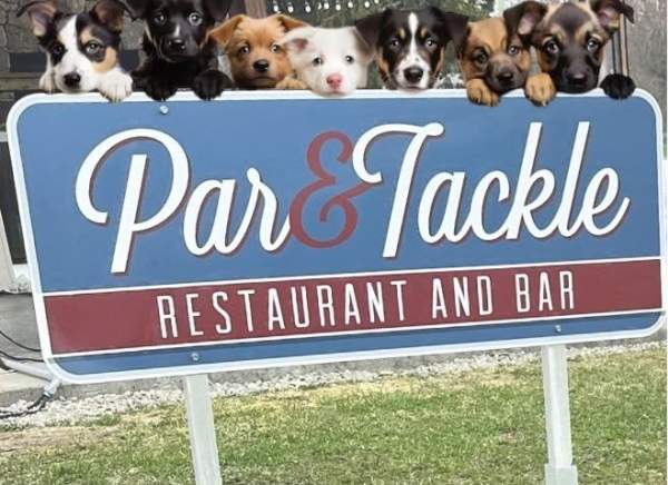 Pups at Par