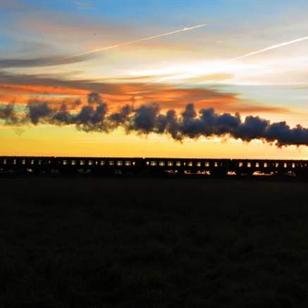 Murder Mystery on the Avon Valley Express