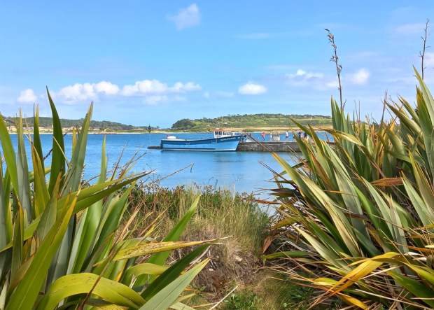St. Mary's Boatmen's Association Trips & Tours