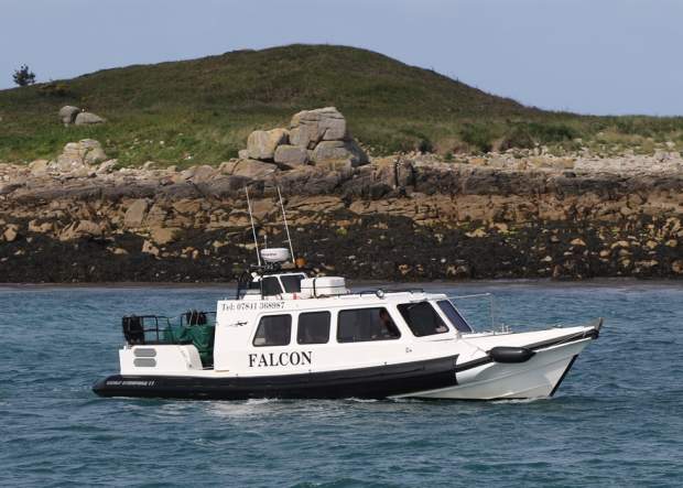 Falcon Boating