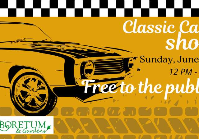 Classic Car Day