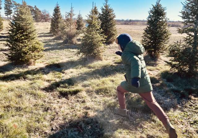 Christmas Tree Farms in Greater Des Moines