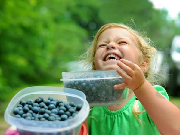10th Annual Blueberry Fest & Pig Pick'n