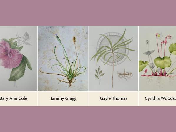 Learning to See | NCBG Botanical Art & Illustration Class of 2025