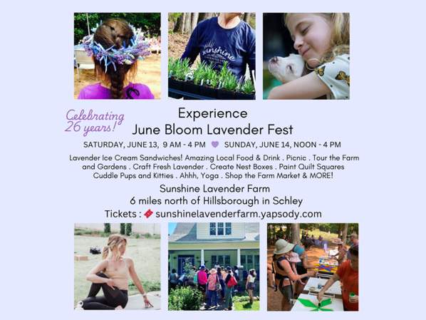 June Bloom Lavender Festival