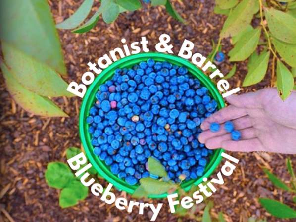 11th Annual Blueberry Fest 🫐