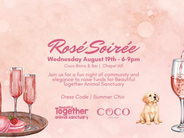 2nd Annual Rosé Soirée | Beautiful Together Animal Sanctuary Benefit